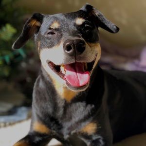 Meet your Posher, Brianna